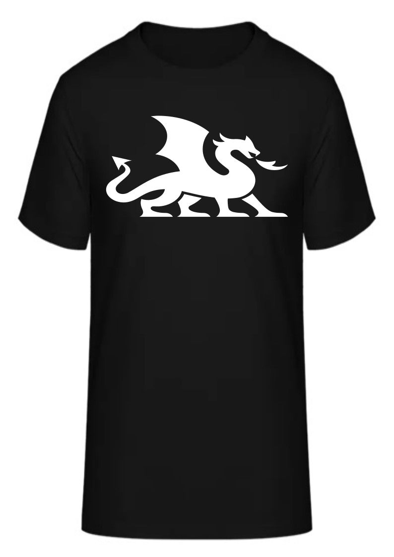 Drache 2