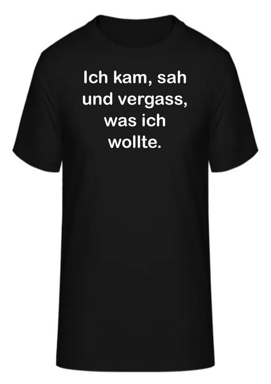 Ich kam, sah und vergass, was ich wollte.